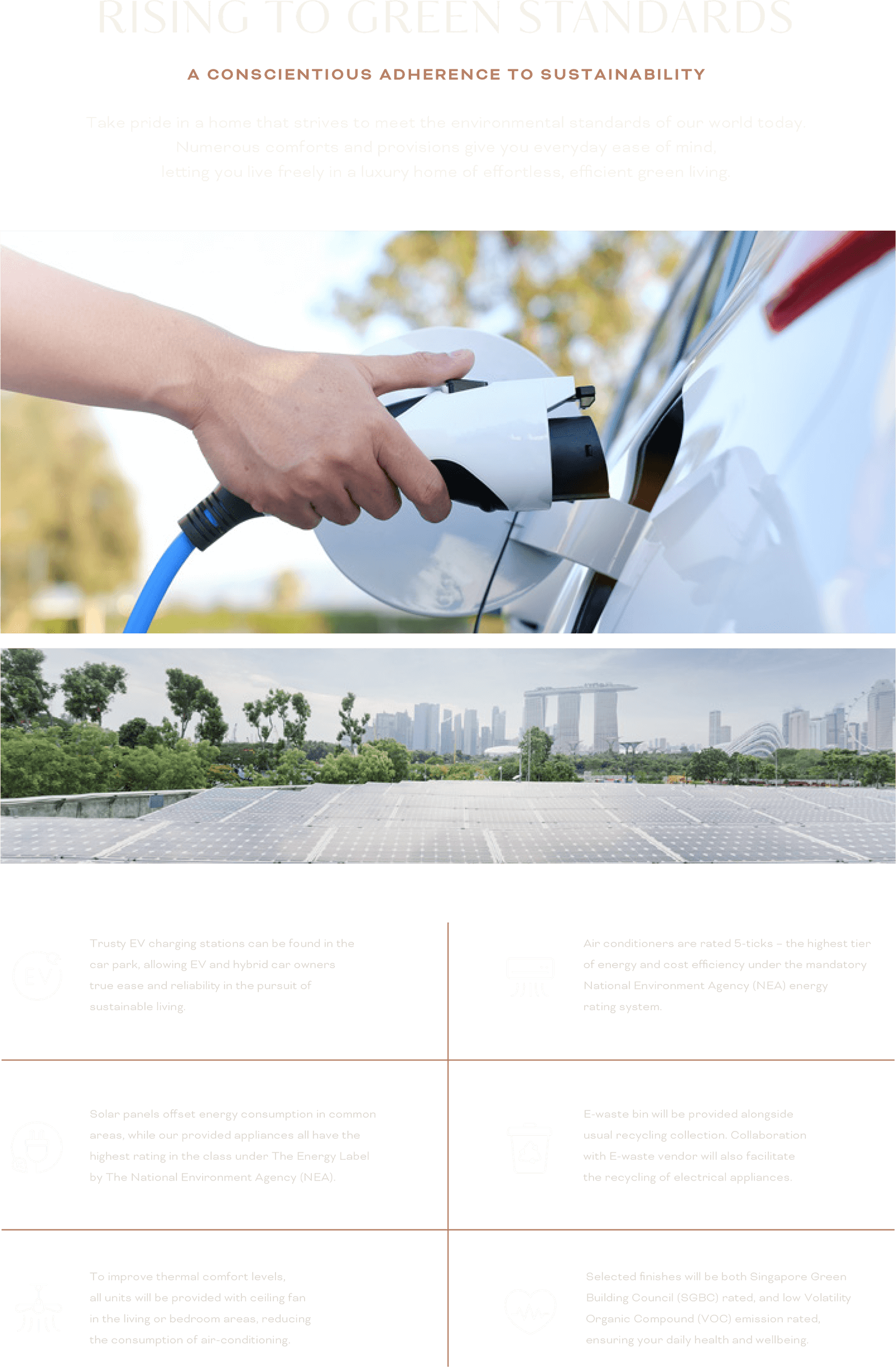 Rising To Green Standards